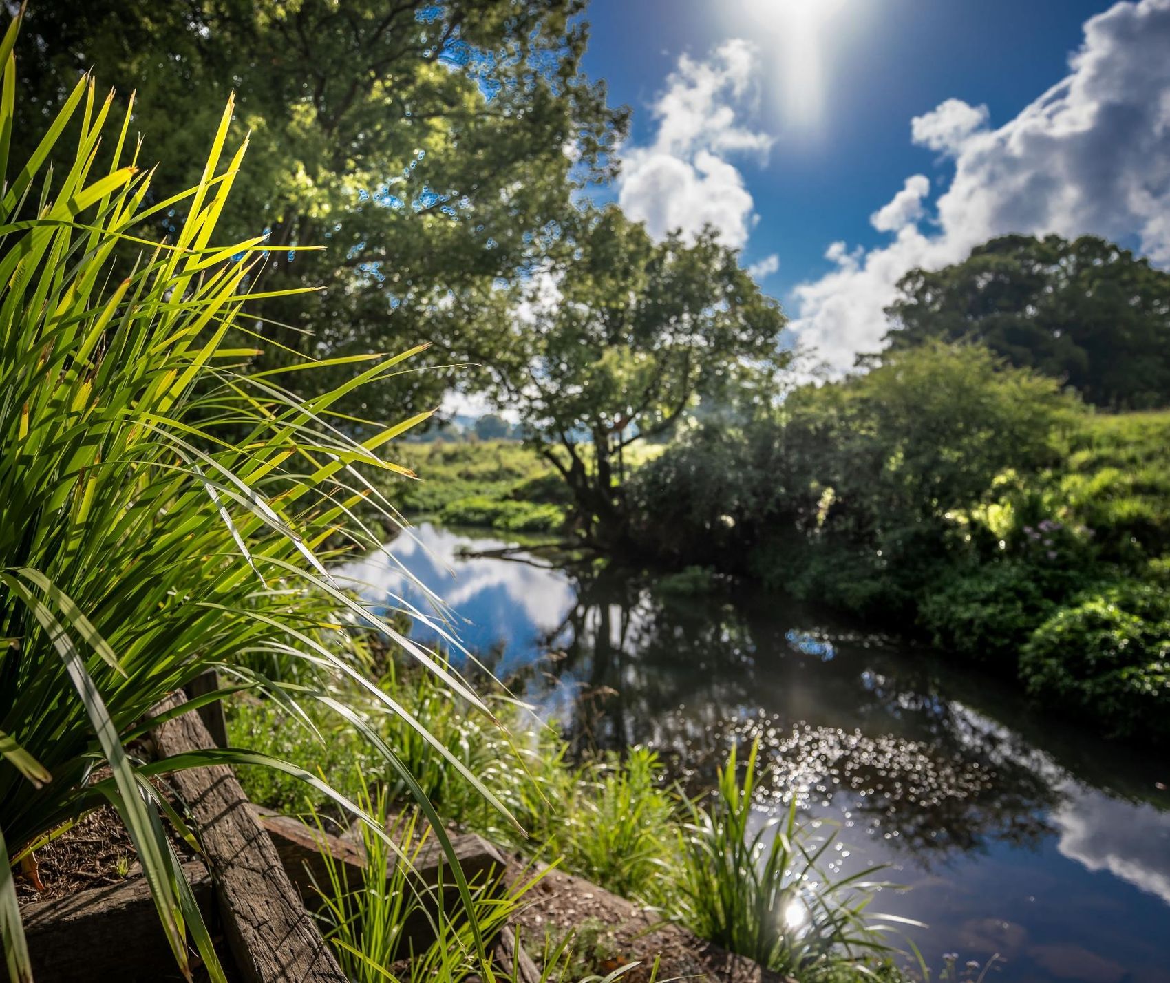…and once more, the creek