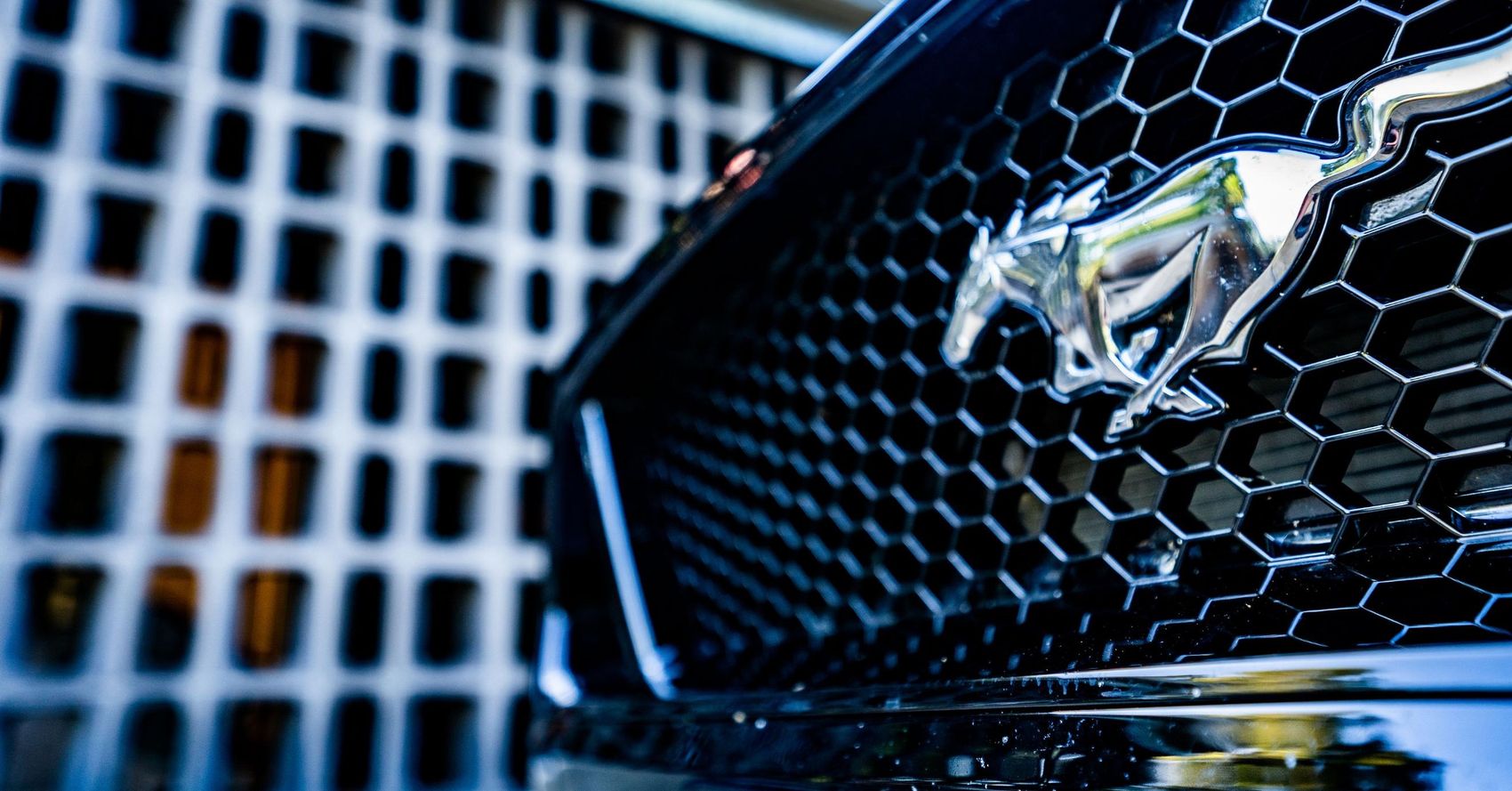 mustang + breeze block, very arty-farty