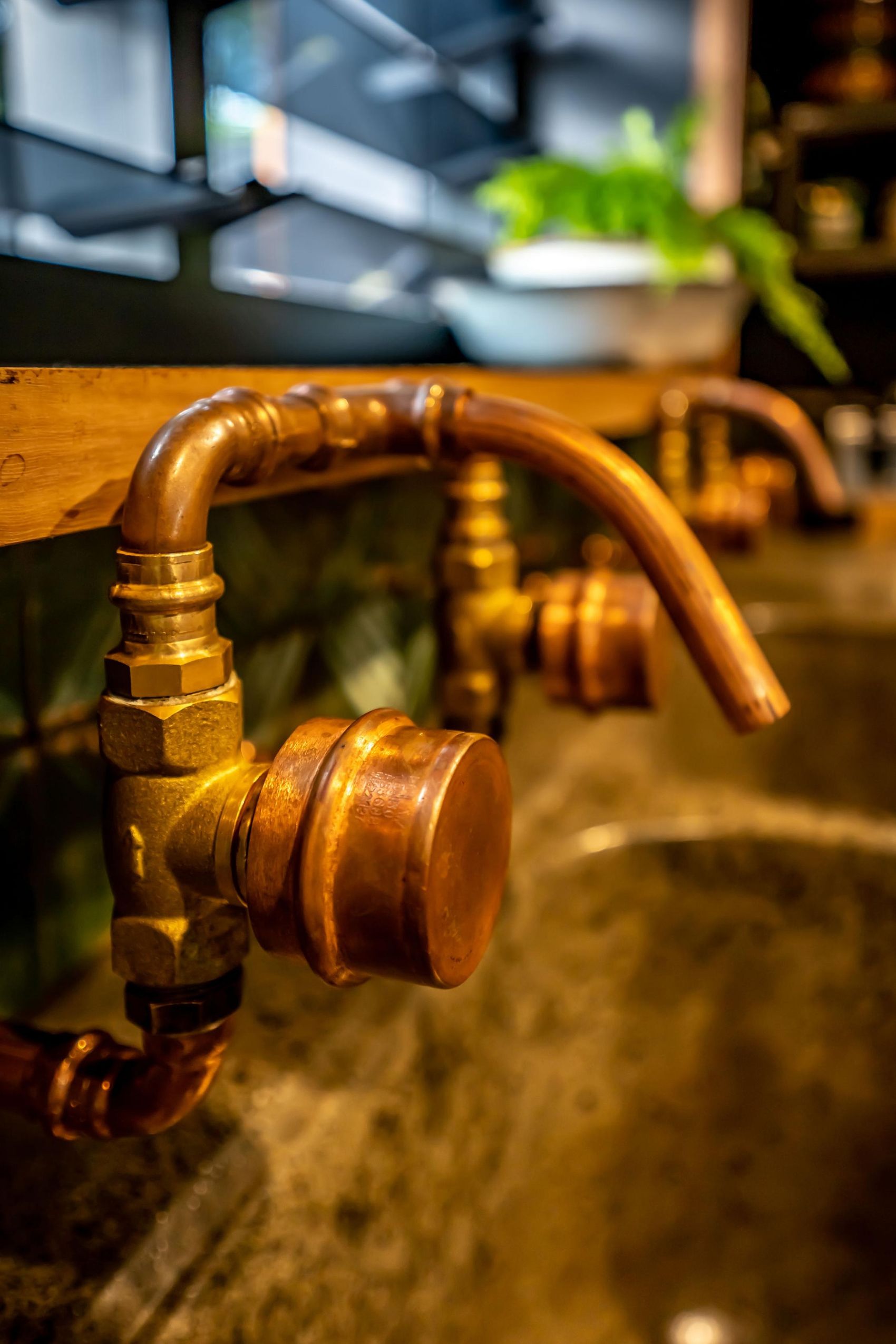 dave's copper taps ❤️
