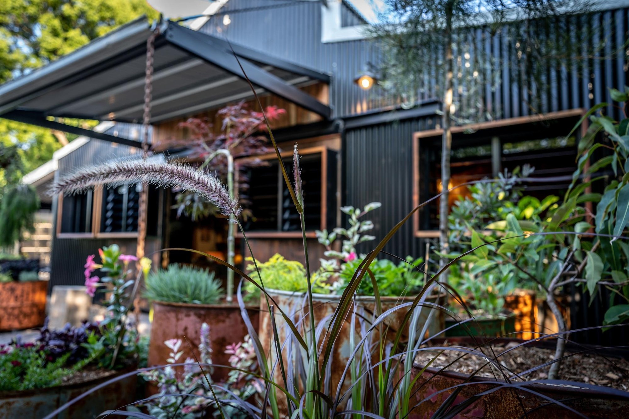 the deck garden, arty-farty and lush