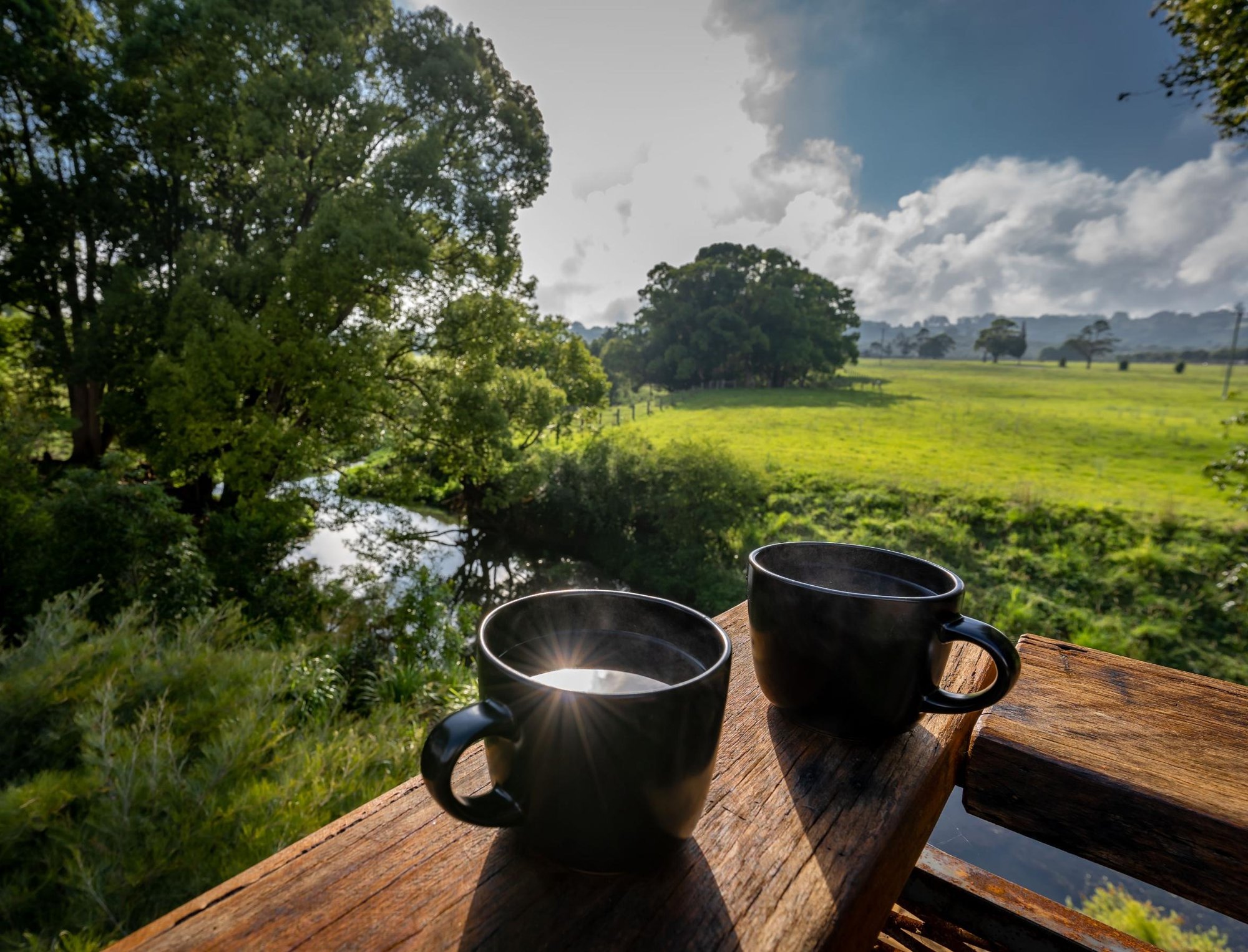 two coffees on the deck, paddock beyond