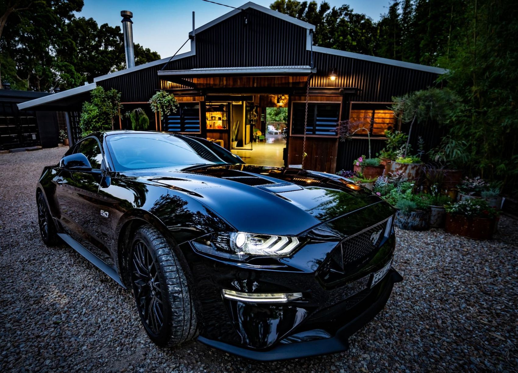 the mustang showing off out front